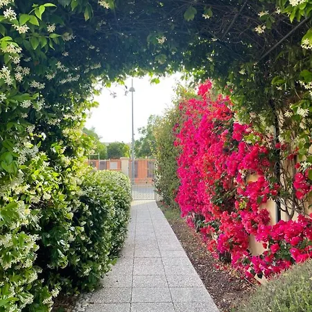 Bougainville Ferienhaus San Vincenzo