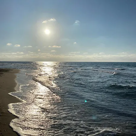 Bougainville * San Vincenzo