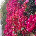 Holiday home Bougainville