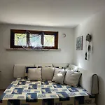 Bougainville * San Vincenzo