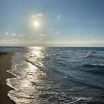 Bougainville * San Vincenzo
