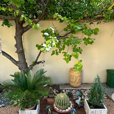 Bougainville * San Vincenzo